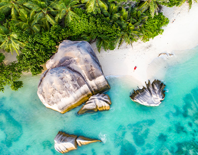 aerial view of beach with big rock and lined with green plants