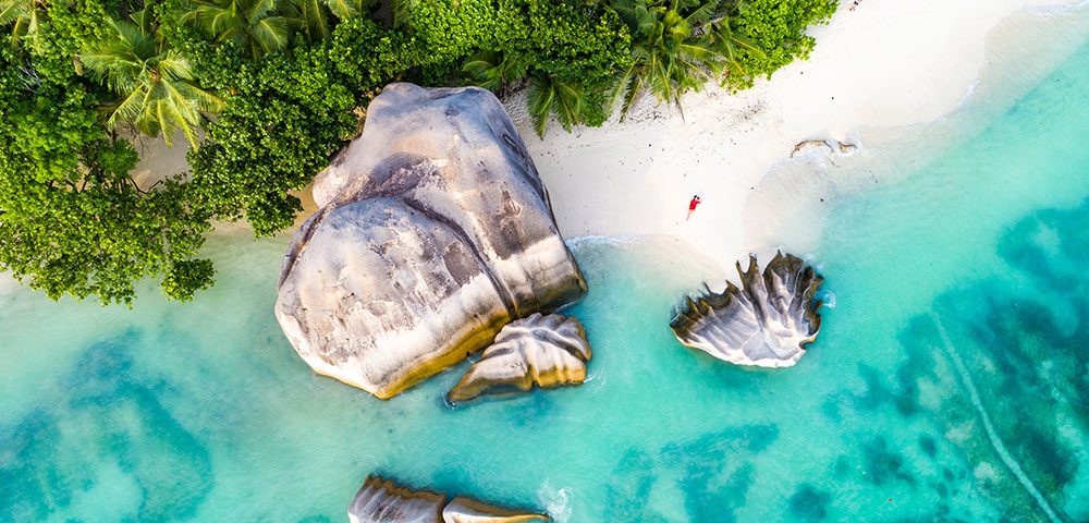 aerial view of beach with big rock and lined with green plants