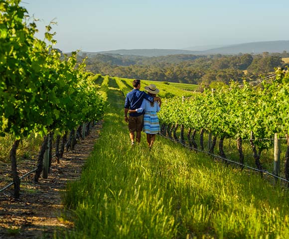 Couple walking through a vineyard in the Margaret River region