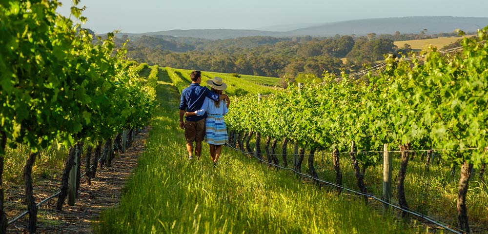 Couple walking through a vineyard in the Margaret River region