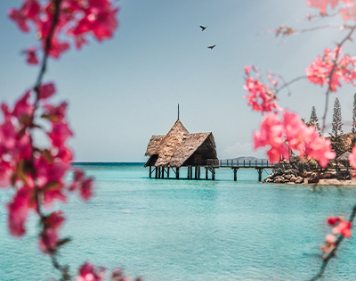 Pink flowers overlooking a view of an overwater bungalow and ocean