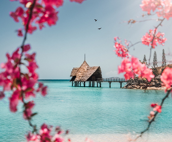 Pink flowers overlooking a view of an overwater bungalow and ocean