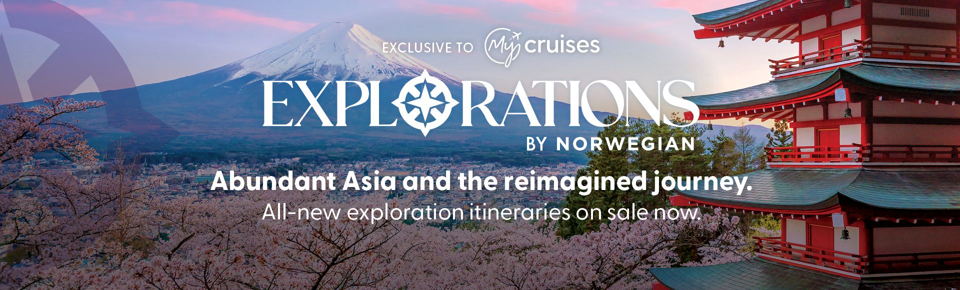 Homepage Banner Image