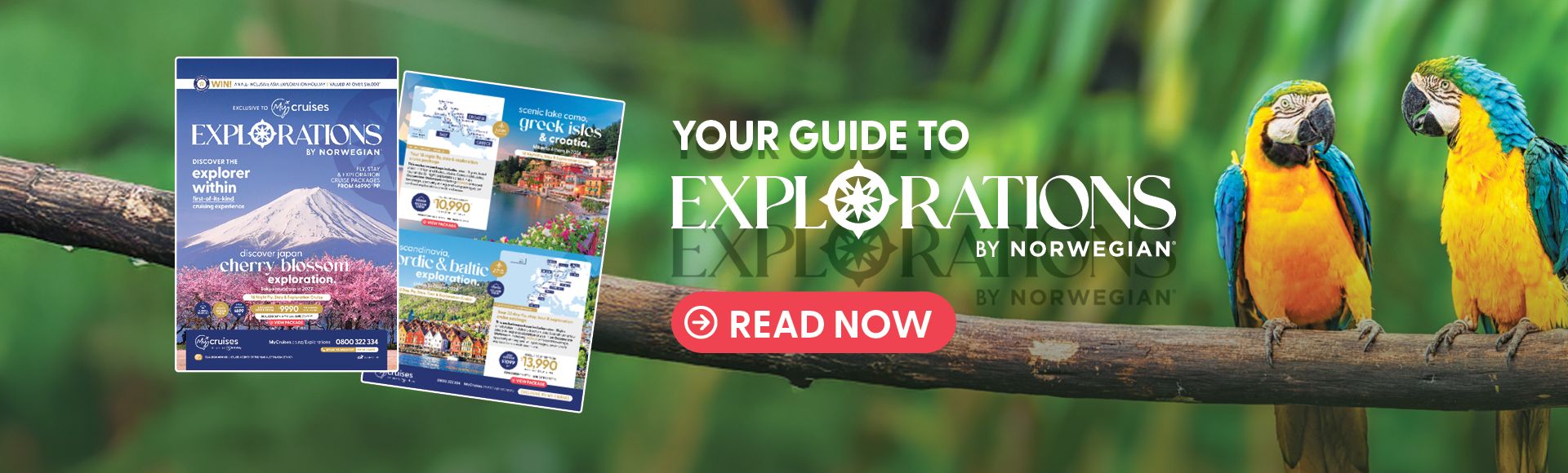 Homepage Banner Image