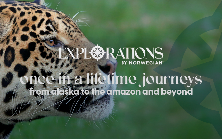 Homepage Banner Image