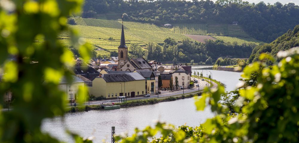 River and Ocean Cruises