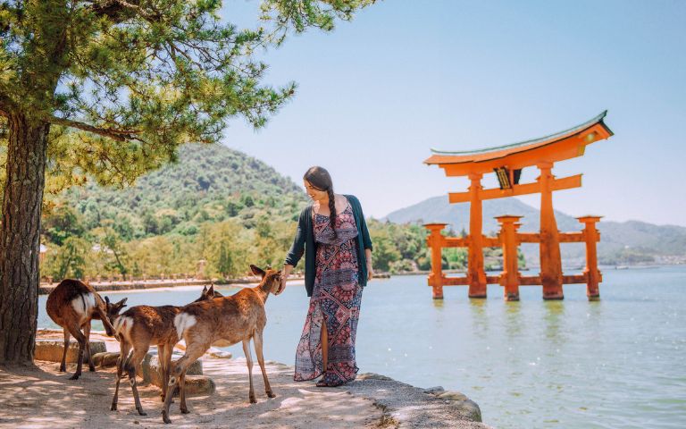 Top Five Reasons to Cruise Japan Banner Image