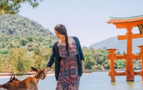 A woman feeds deer beside calm water, with a vivid orange torii gate and green mountains behind her; a peaceful scene at a Japanese shrine.