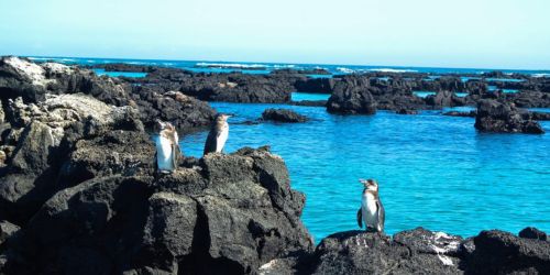 Ecuador Packages