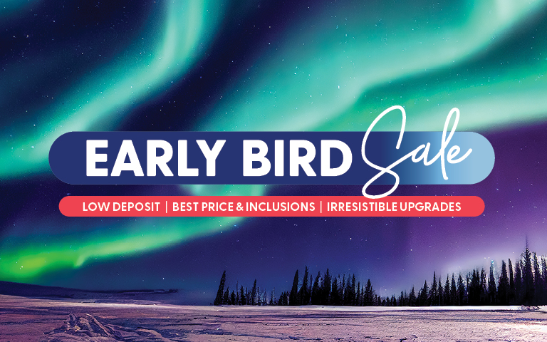 Aurora borealis sky over a snowy landscape with silhouetted trees. Text overlay: 