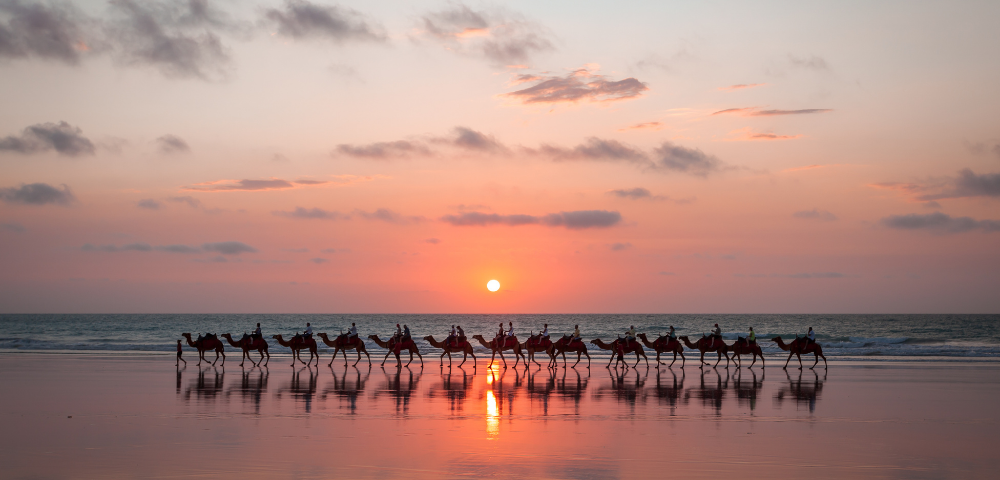 Silversea Campaign - Gallery Image