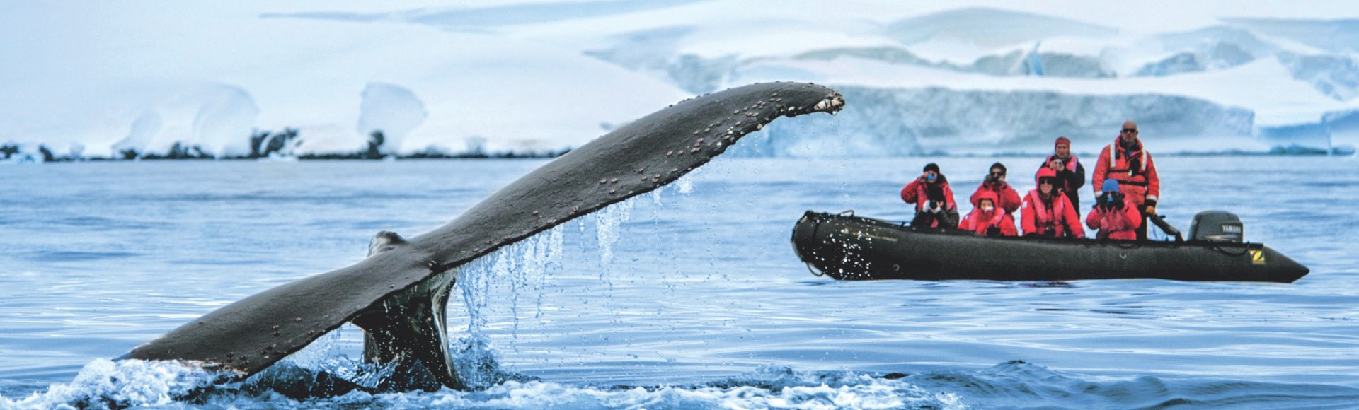 Top 4 Destinations You Can Only Reach by Expedition Cruise Banner Image