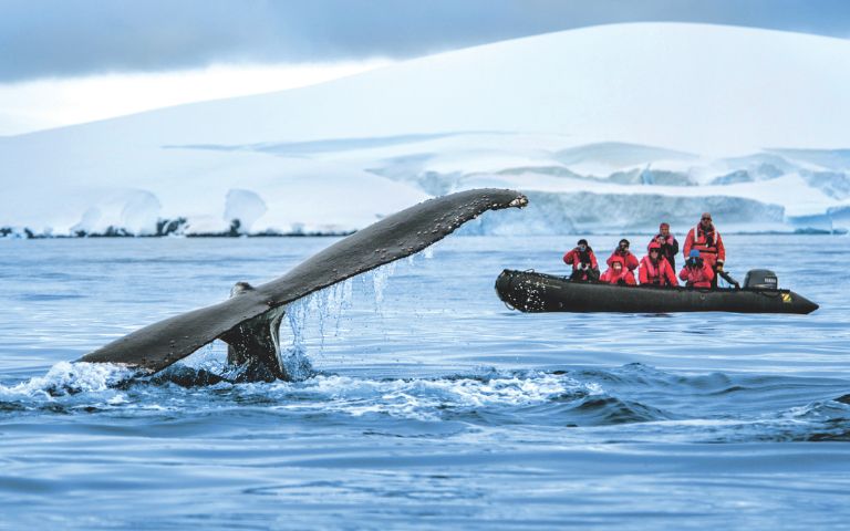 Top 4 Destinations You Can Only Reach by Expedition Cruise Banner Image