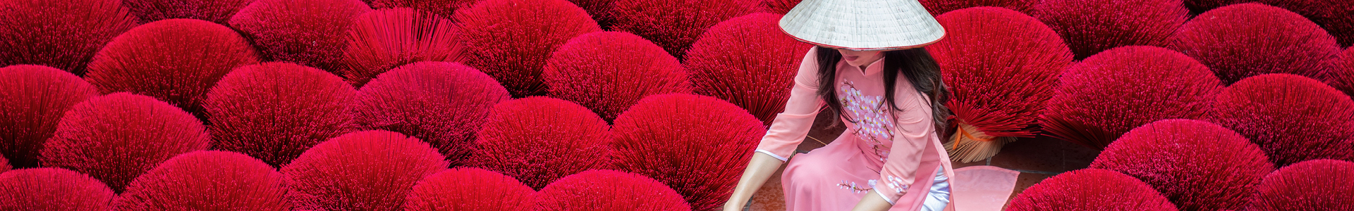 My Cruises Touring Subscribe - Slim Banner 1