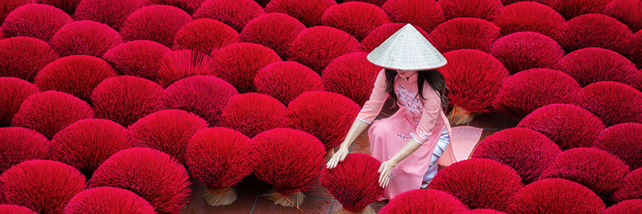 My Cruises Touring Subscribe - Slim Banner 1