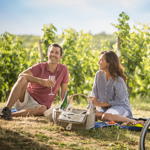 A young couple enjoying a picnic at a winery on a sunny day.