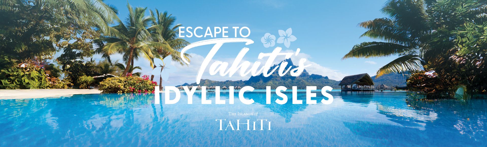 Homepage Banner Image