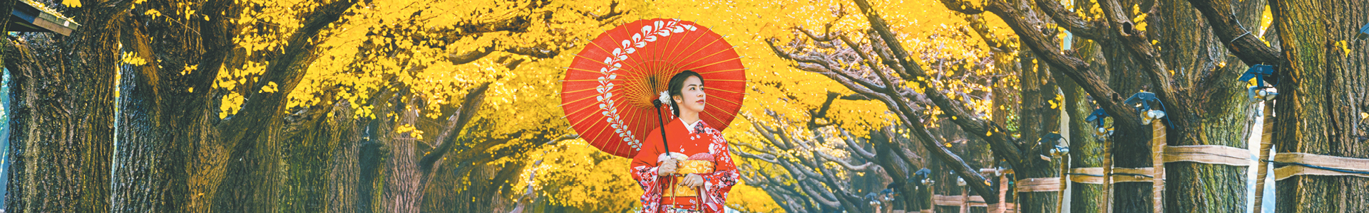 Unmissable Sale Magazine - Slim Banner 1