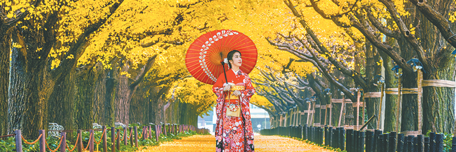 Unmissable Sale Magazine - Slim Banner 1