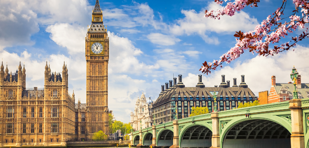 MSC Cruises Campaign - Gallery Image