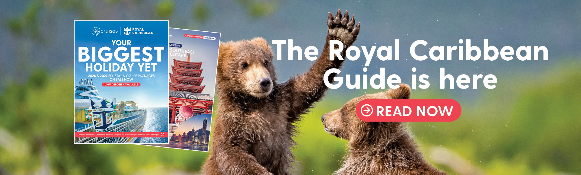 Homepage Banner Image