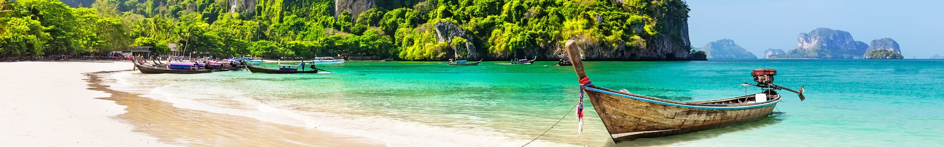 Sea the World Guide Subscribe - Slim Banner 1