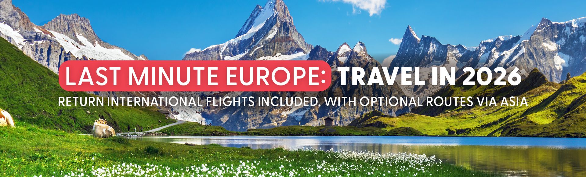 Homepage Banner Image