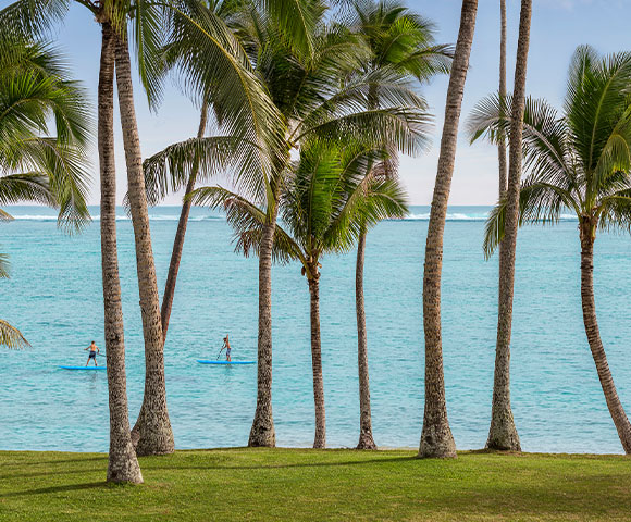 Fiji Beaches - Gallery Image