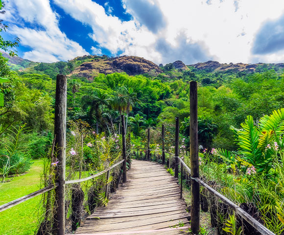 Inland Fiji - Gallery Image