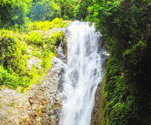 Inland Fiji - Gallery Image