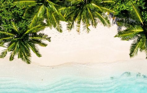 Aerial view of a tropical beach with lush green palm trees overhanging a pristine white sand beach and clear turquoise water with gentle ripples.