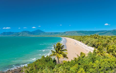 Beach view from a hilltop, showcasing sandy shores and gentle waves under a clear blue sky.