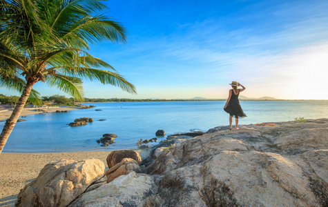 A woman on a rock admires the ocean view, framed by palm trees.