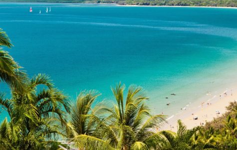 A panoramic view of a tranquil beach with white sand, turquoise waters, and sailing boats, framed by lush palm trees.