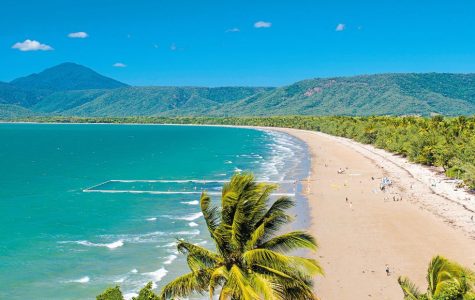 A scenic view of a sandy beach bordered by lush palm trees, with turquoise water and green hills under a bright blue sky.