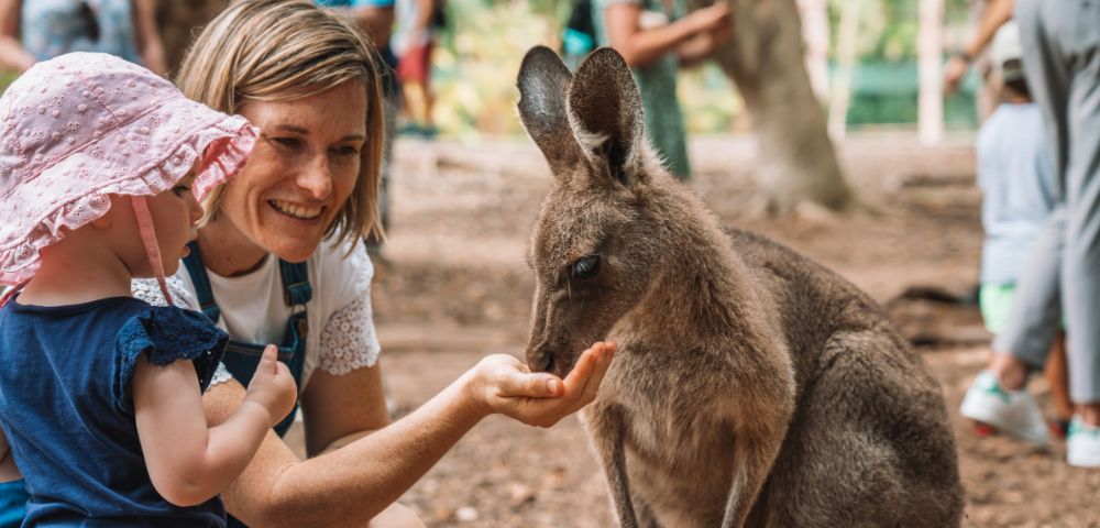 A woman and a child gently feeding a kangaroo in a zoo setting, showcasing an interactive animal experience.