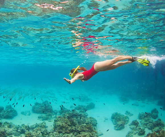 Rydges Esplanade Resort Cairns Image 4