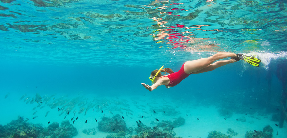 Rydges Esplanade Resort Cairns Image 4