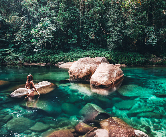 Daintree Wilderness Lodge - Gallery Image