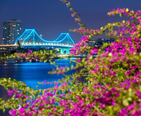 Brisbane Story Bridge with Bougainvillea in the forefront