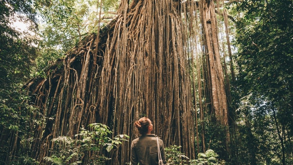 Print Stylesheet Image