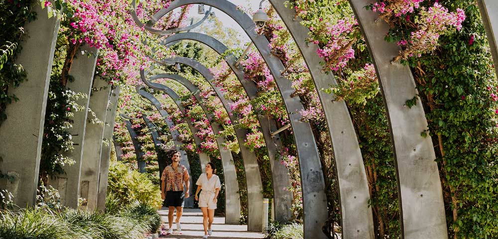 Australia & Papa New Guinea - Gallery Image