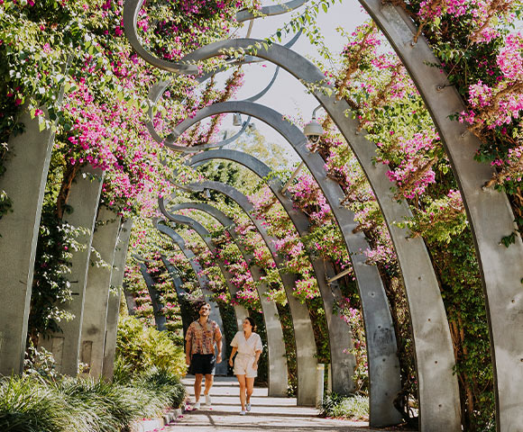 Australia & Papa New Guinea - Gallery Image