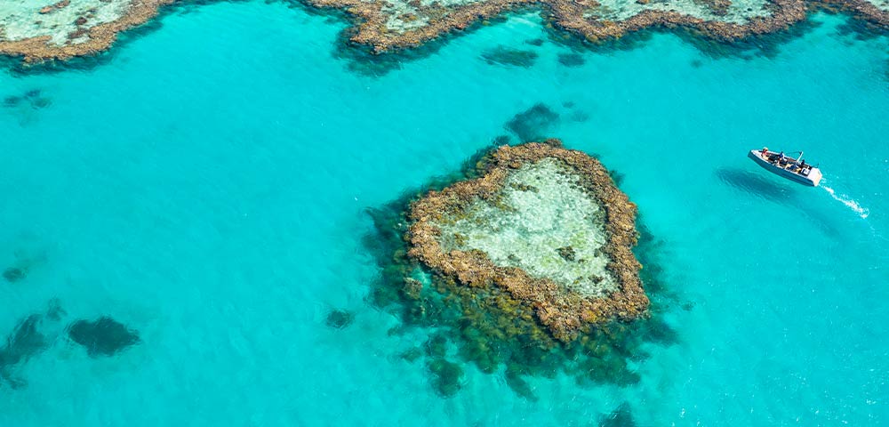 The Whitsundays - Gallery Image