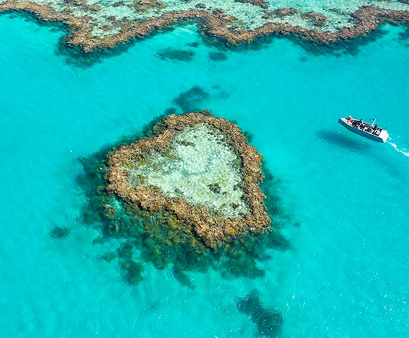 The Whitsundays - Gallery Image