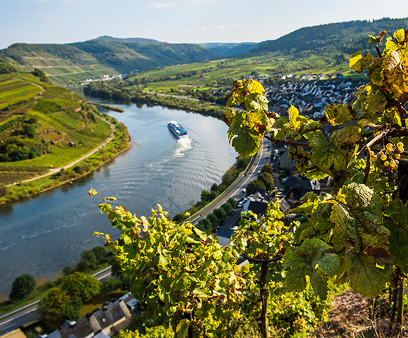 moselle river wine cruise