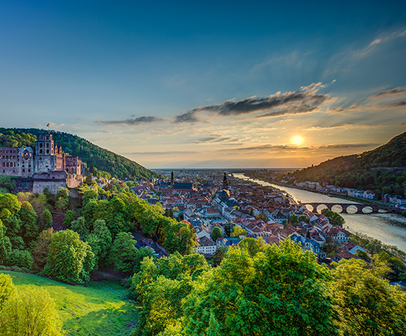 Castles & Vineyards Along the Rhine River - Gallery Image