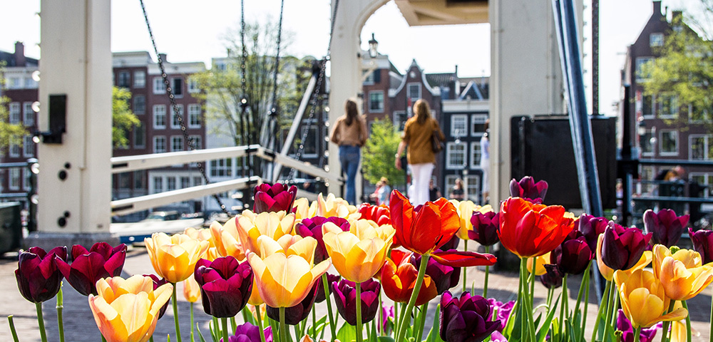 Northern Cruise Break - Gallery Image