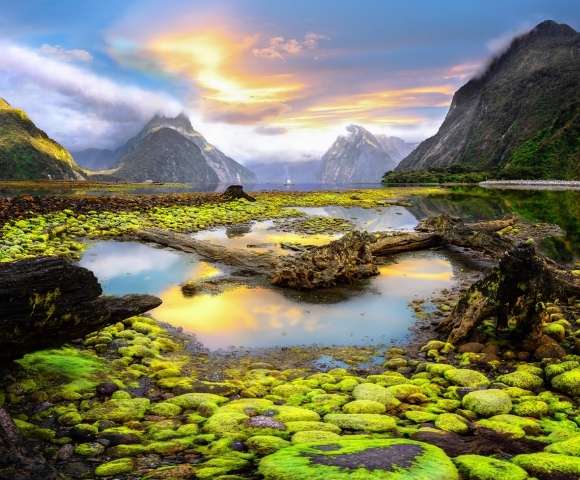 Fly, Stay & Cruise New Zealand Signature Voyage Main Image