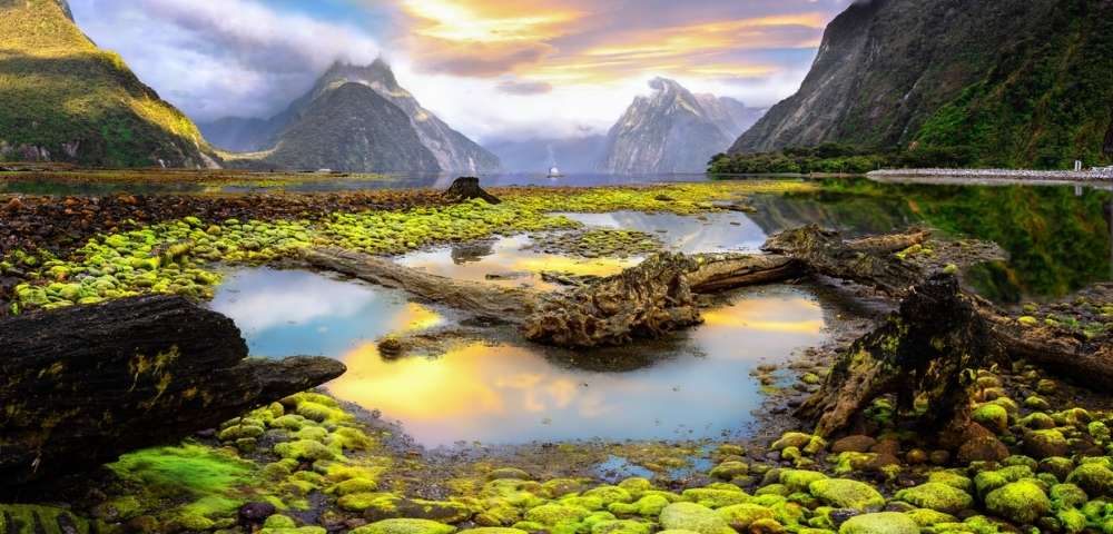 Fly, Stay & Cruise New Zealand Signature Voyage Main Image